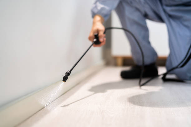 Licensed Pest Control service in Sioux Falls, SD - Show Me Pest Control