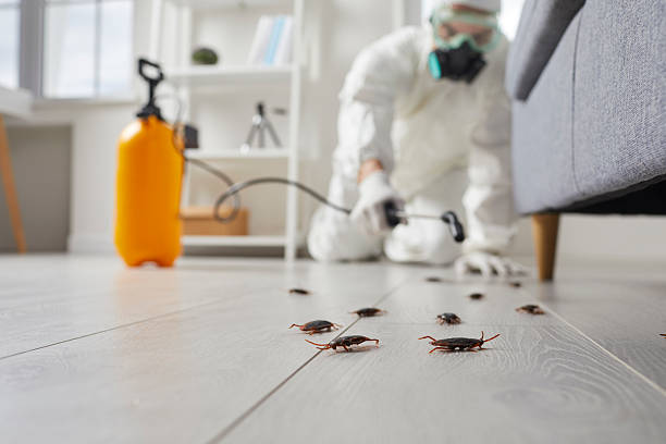 Commercial Kitchen Cockroach Control in Sioux Falls